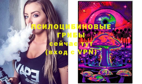 бошки Богородицк