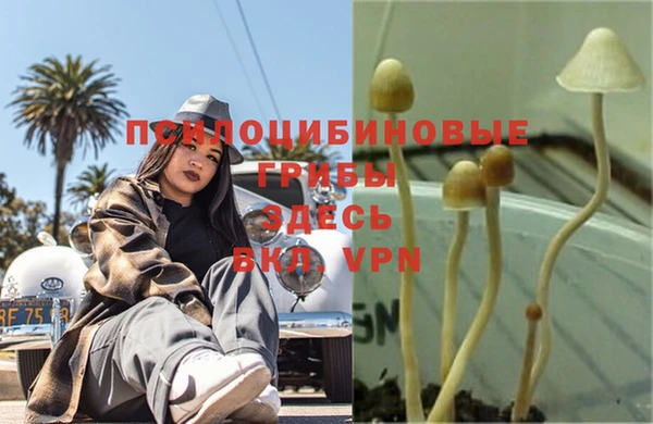 бошки Богородицк