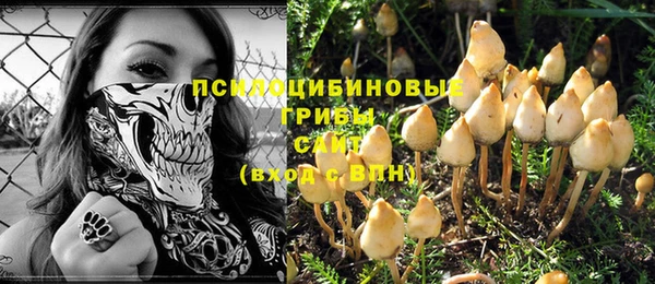 бошки Богородицк