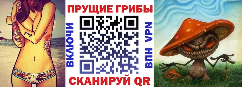 площадка клад  Кострома  Псилоцибиновые грибы мухоморы 